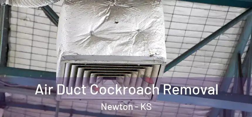  Air Duct Cockroach Removal Newton - KS