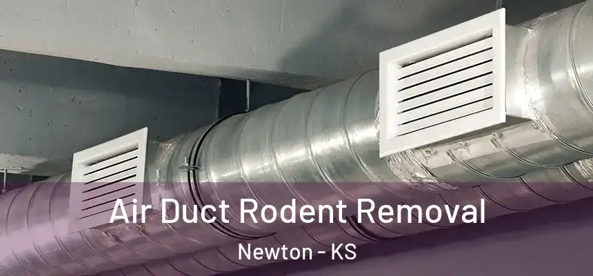  Air Duct Rodent Removal Newton - KS