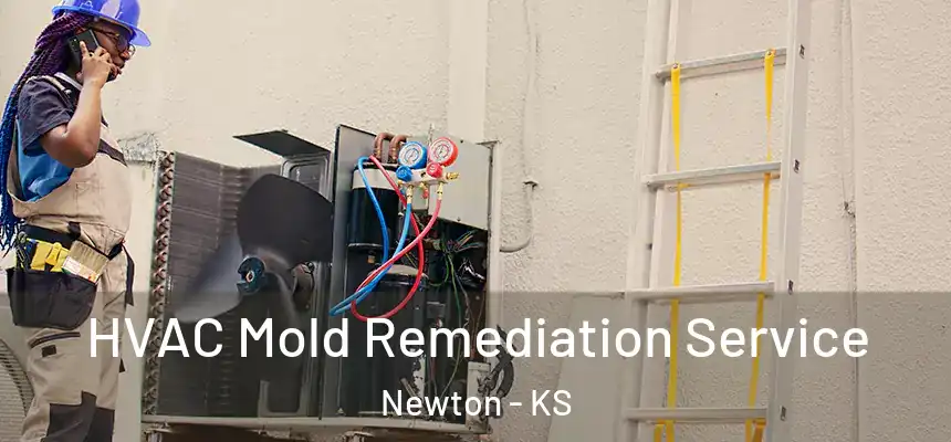  HVAC Mold Remediation Service Newton - KS