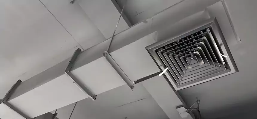 Our Rodent Droppings In Vents Services in Newton, KS