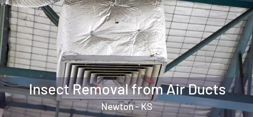  Insect Removal from Air Ducts Newton - KS
