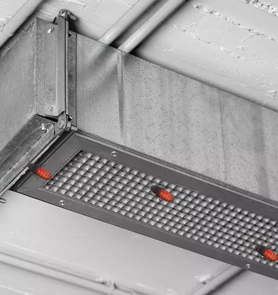 Affordable Insect Removal from Air Ducts in Newton, KS