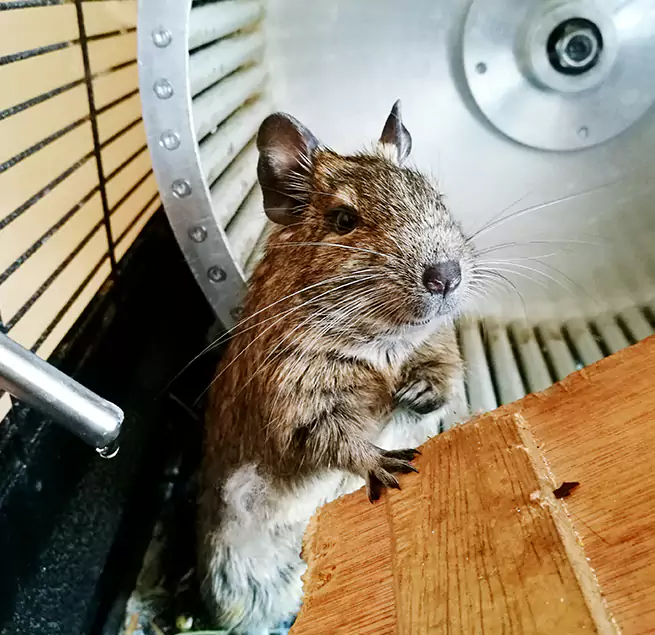 Why Homeowners & Businesses Trust Us Newton, KS